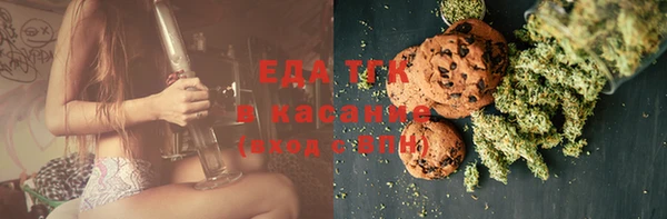 крисы Абаза