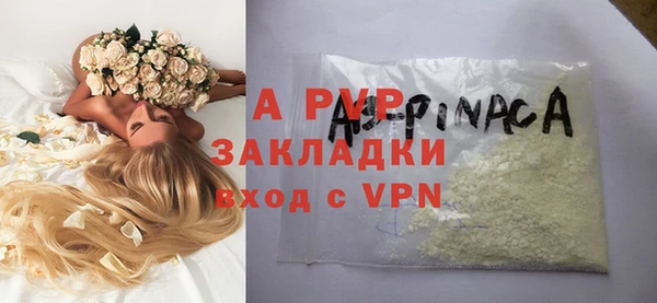 крисы Абаза