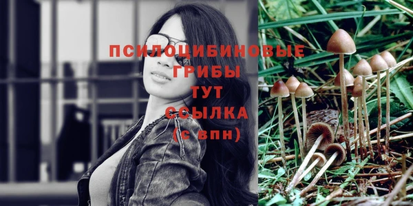 скорость mdpv Рославль