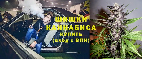 крисы Абаза